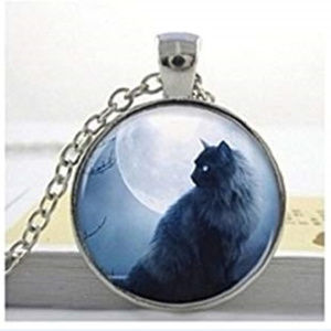 Cat under Full Moon in Mist